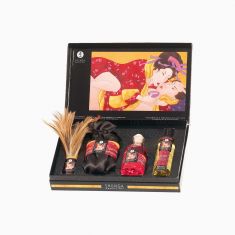 Подарунковий набір Shunga Gift Set Tenderness/Passion